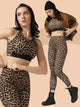 Performance Workout pair with high impact sports bra